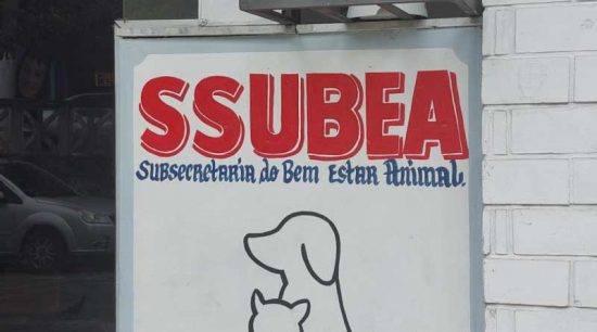 RJ_Nova_Friburgo_SSUBEA_recebe_mais_de_uma_tonelada_de_racao_e_abre_cadastramento_para_doacao