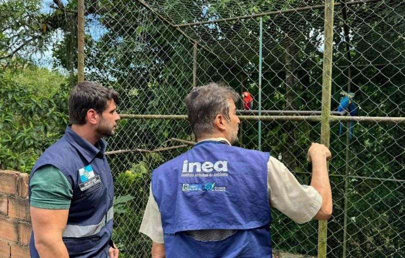 Polícia Federal e Inea resgatam animais silvestres em Cachoeiras de Macacu