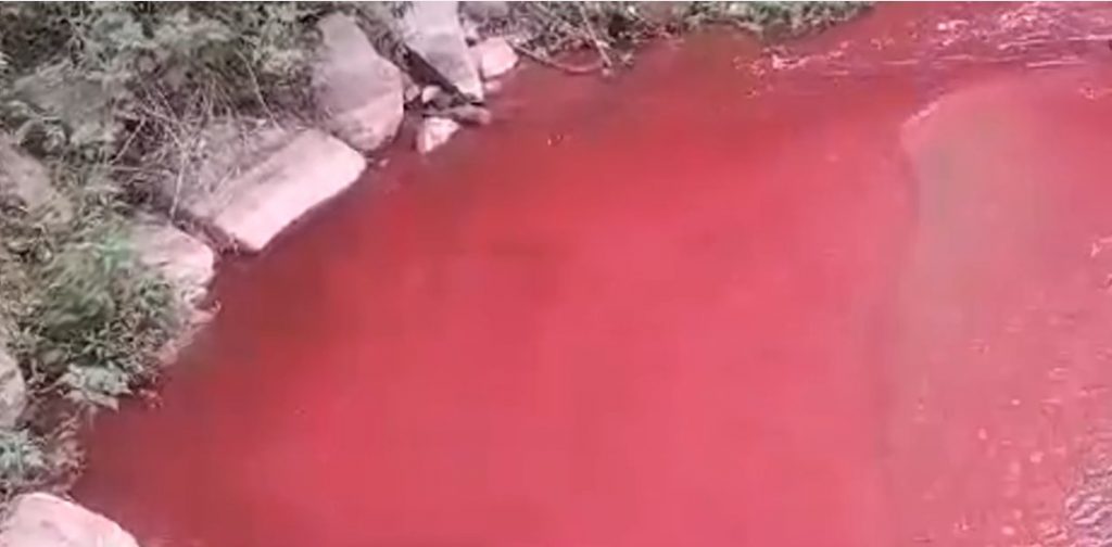 Rio-vermelho-chama-atencao-de-moradores-de-Nova-Friburgo