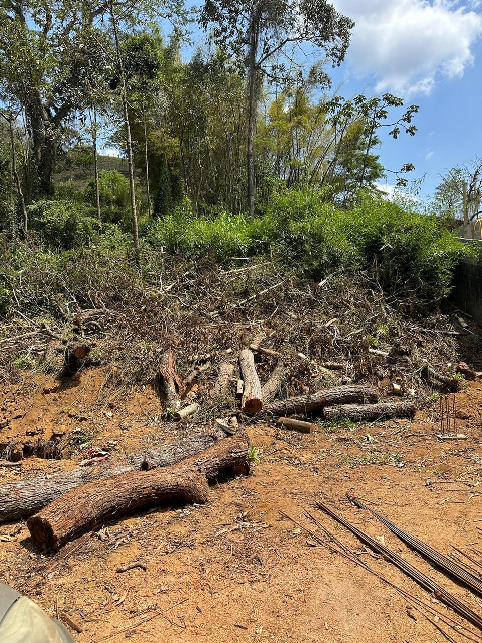 Polícia identifica construção irregular e corte de árvores em Nova Friburgo