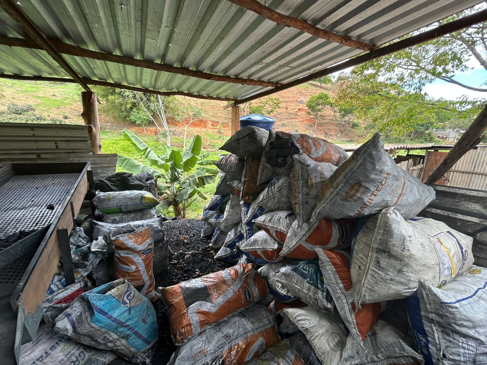 Polícia Ambiental apreende pássaros e interdita carvoaria clandestina